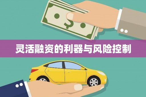 泸西灵活融资的利器与风险控制