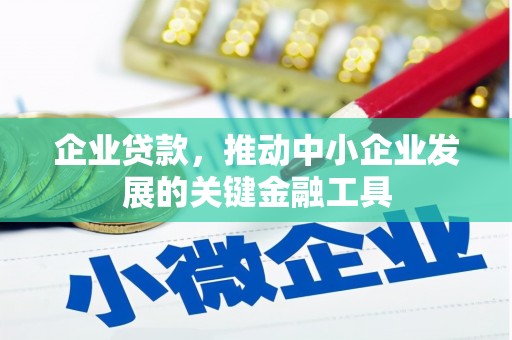 泸西企业贷款，推动中小企业发展的关键金融工具