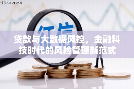 泸西贷款与大数据风控，金融科技时代的风险管理新范式