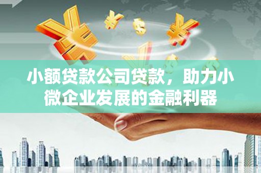 泸西小额贷款公司贷款，助力小微企业发展的金融利器