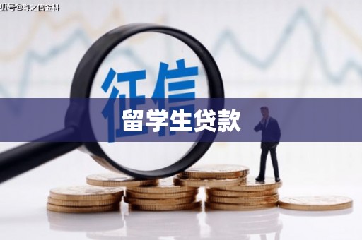 泸西留学生贷款
