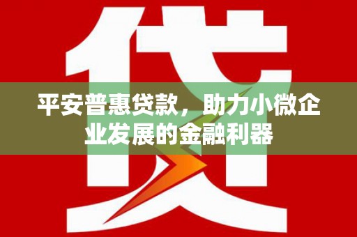 泸西平安普惠贷款，助力小微企业发展的金融利器