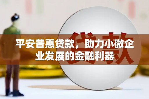 泸西平安普惠贷款，助力小微企业发展的金融利器