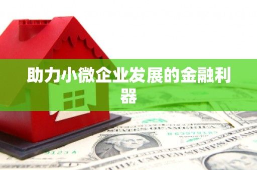 泸西助力小微企业发展的金融利器