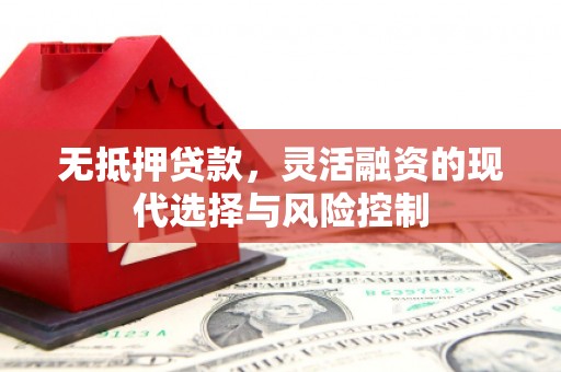 泸西无抵押贷款，灵活融资的现代选择与风险控制