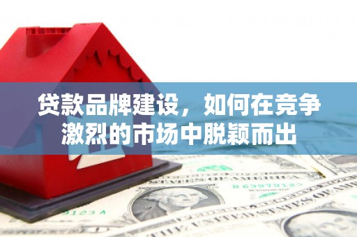泸西贷款品牌建设，如何在竞争激烈的市场中脱颖而出