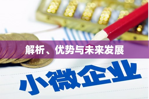 泸西解析、优势与未来发展