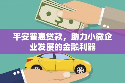 泸西平安普惠贷款，助力小微企业发展的金融利器