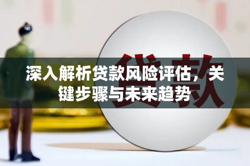 泸西深入解析贷款风险评估，关键步骤与未来趋势