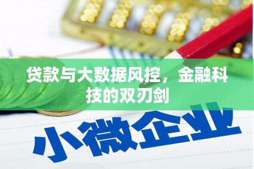 泸西贷款与大数据风控，金融科技的双刃剑