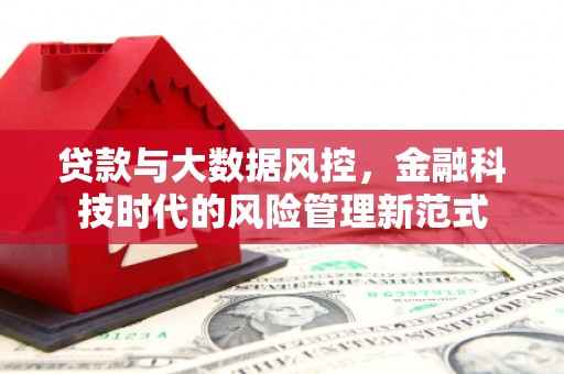 泸西贷款与大数据风控，金融科技时代的风险管理新范式