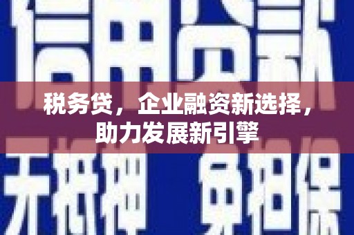 泸西税务贷，企业融资新选择，助力发展新引擎