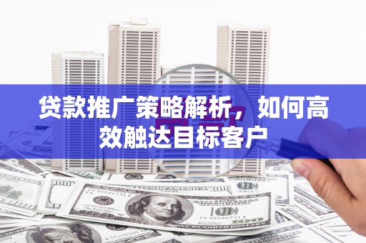 泸西贷款推广策略解析，如何高效触达目标客户
