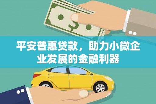泸西平安普惠贷款，助力小微企业发展的金融利器