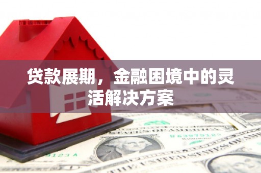 泸西贷款展期，金融困境中的灵活解决方案
