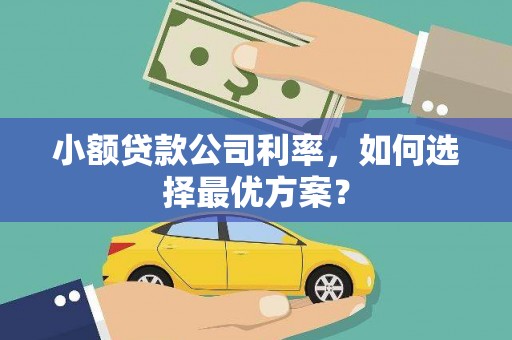 泸西小额贷款公司利率，如何选择最优方案？