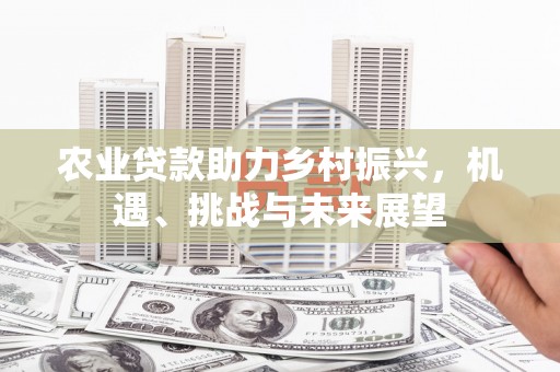 泸西农业贷款助力乡村振兴，机遇、挑战与未来展望