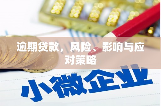 泸西逾期贷款，风险、影响与应对策略