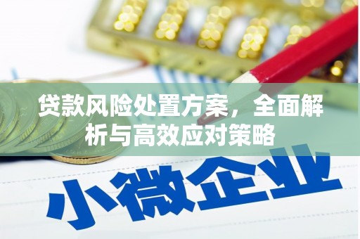 泸西贷款风险处置方案，全面解析与高效应对策略