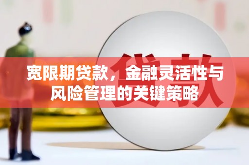 泸西宽限期贷款，金融灵活性与风险管理的关键策略