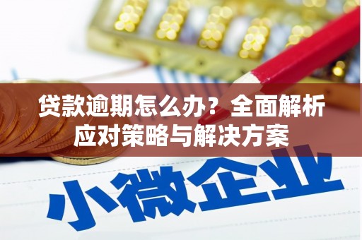 泸西贷款逾期怎么办？全面解析应对策略与解决方案