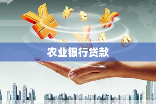 泸西农业银行贷款