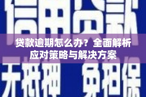 泸西贷款逾期怎么办？全面解析应对策略与解决方案