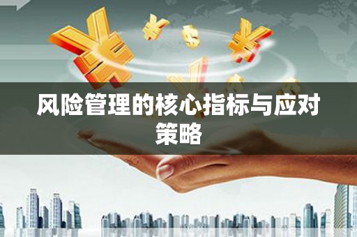 泸西风险管理的核心指标与应对策略