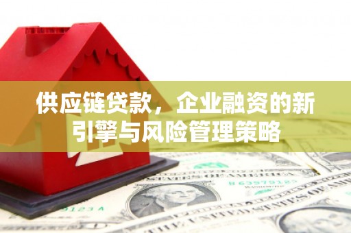 泸西供应链贷款，企业融资的新引擎与风险管理策略