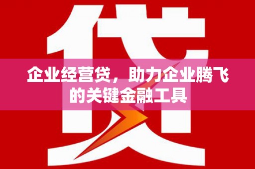 泸西企业经营贷，助力企业腾飞的关键金融工具