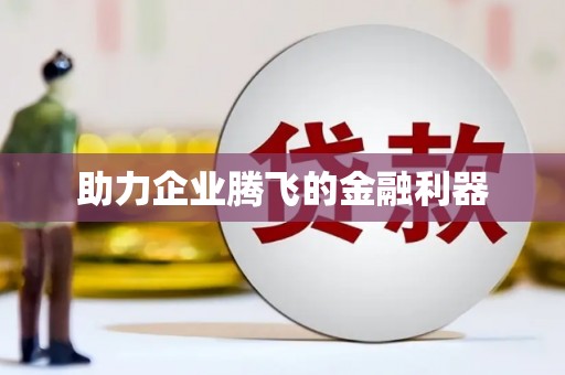 泸西助力企业腾飞的金融利器