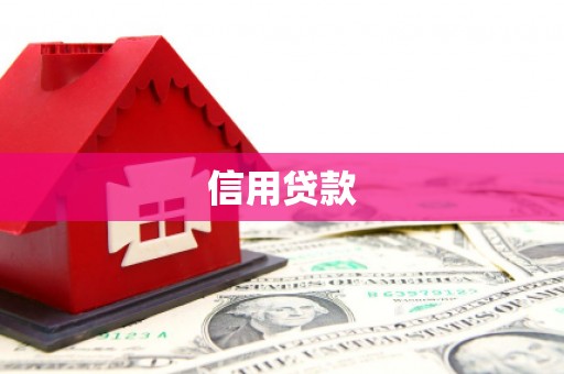 泸西信用贷款