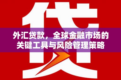 泸西外汇贷款，全球金融市场的关键工具与风险管理策略
