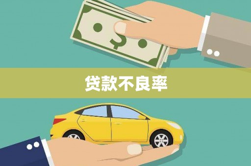 泸西贷款不良率