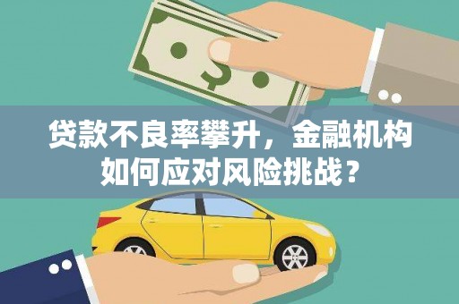 泸西贷款不良率攀升，金融机构如何应对风险挑战？