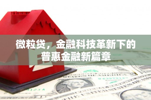 泸西微粒贷，金融科技革新下的普惠金融新篇章