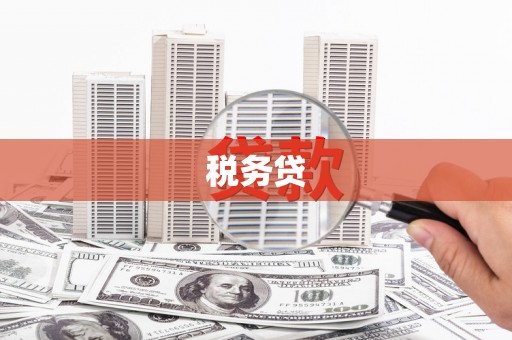 泸西税务贷