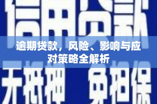 泸西逾期贷款，风险、影响与应对策略全解析
