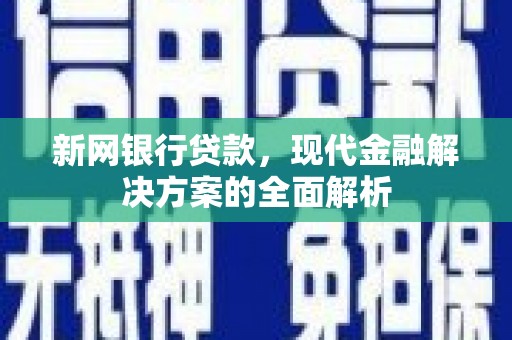 泸西新网银行贷款，现代金融解决方案的全面解析