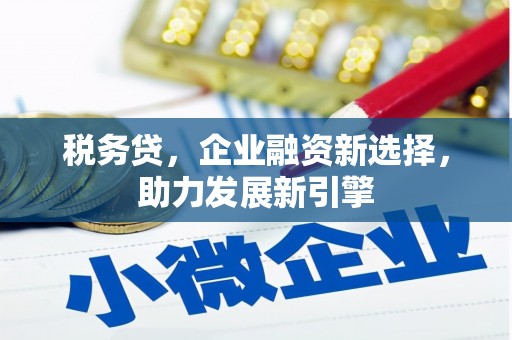 泸西税务贷，企业融资新选择，助力发展新引擎