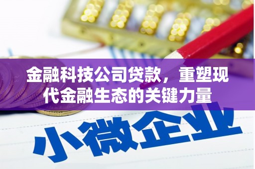 泸西金融科技公司贷款，重塑现代金融生态的关键力量