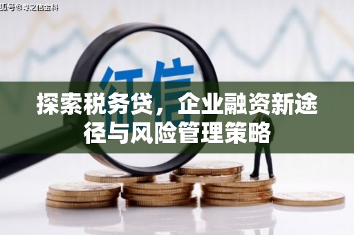 泸西探索税务贷，企业融资新途径与风险管理策略