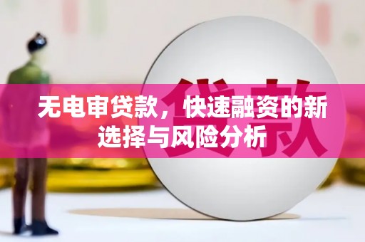 泸西无电审贷款，快速融资的新选择与风险分析