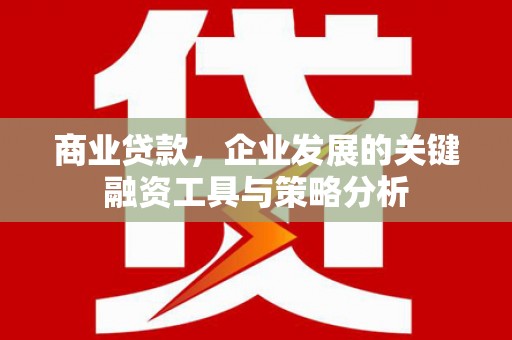 泸西商业贷款，企业发展的关键融资工具与策略分析