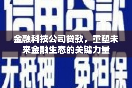 泸西金融科技公司贷款，重塑未来金融生态的关键力量