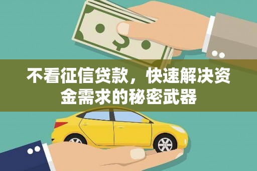泸西不看征信贷款，快速解决资金需求的秘密武器