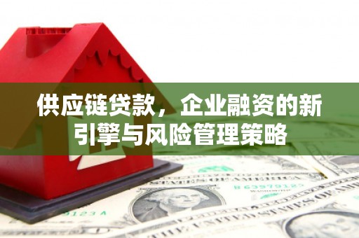 泸西供应链贷款，企业融资的新引擎与风险管理策略