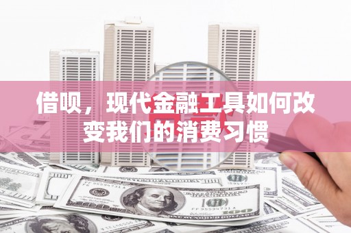 泸西借呗，现代金融工具如何改变我们的消费习惯