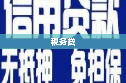 泸西税务贷