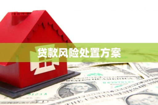 泸西贷款风险处置方案